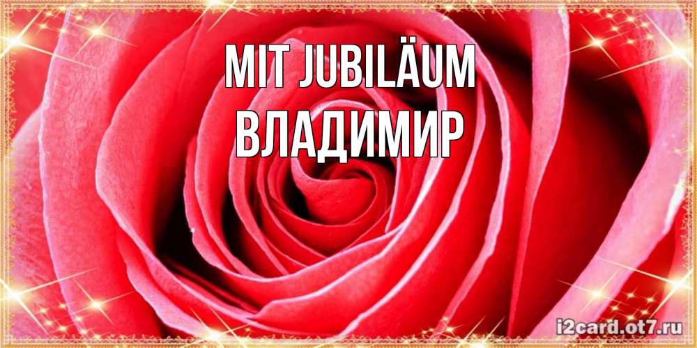 Открытка на каждый день с именем, Владимир Mit Jubiläum розовая роза очень крупный бутон Прикольная открытка с пожеланием онлайн скачать бесплатно 