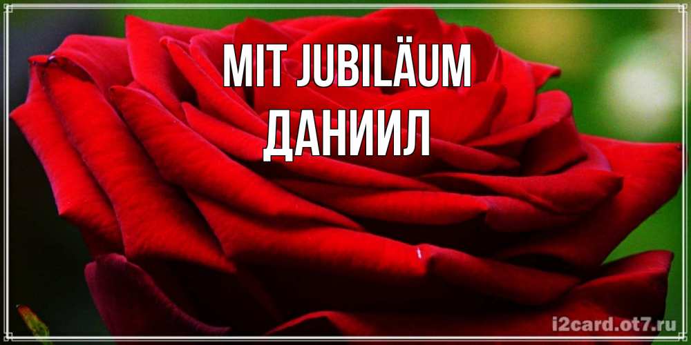 Открытка на каждый день с именем, Даниил Mit Jubiläum розочка очень красивая Прикольная открытка с пожеланием онлайн скачать бесплатно 