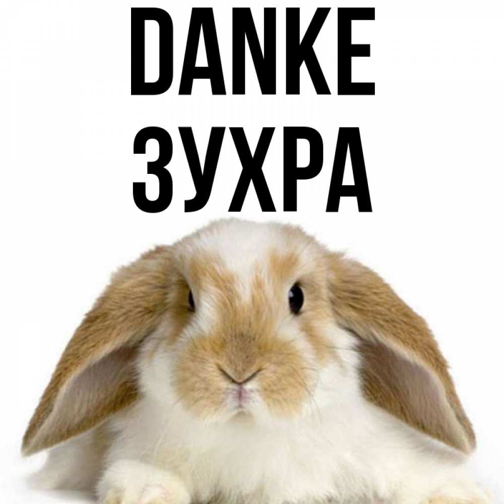 Открытка на каждый день с именем, Зухра Danke коричнево белый заяц Прикольная открытка с пожеланием онлайн скачать бесплатно 