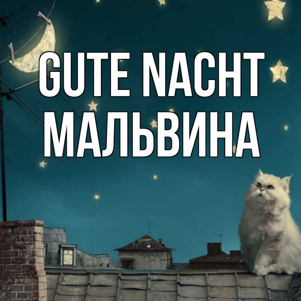 Открытка на каждый день с именем, Мальвина Gute Nacht белый кот сидит на крыше Прикольная открытка с пожеланием онлайн скачать бесплатно 