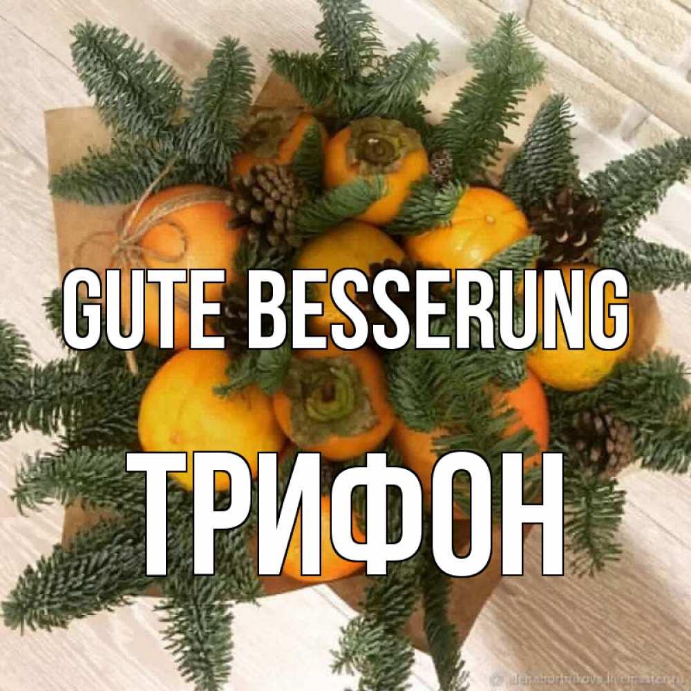 Открытка на каждый день с именем, Трифон Gute Besserung апельсины и хурьма Прикольная открытка с пожеланием онлайн скачать бесплатно 