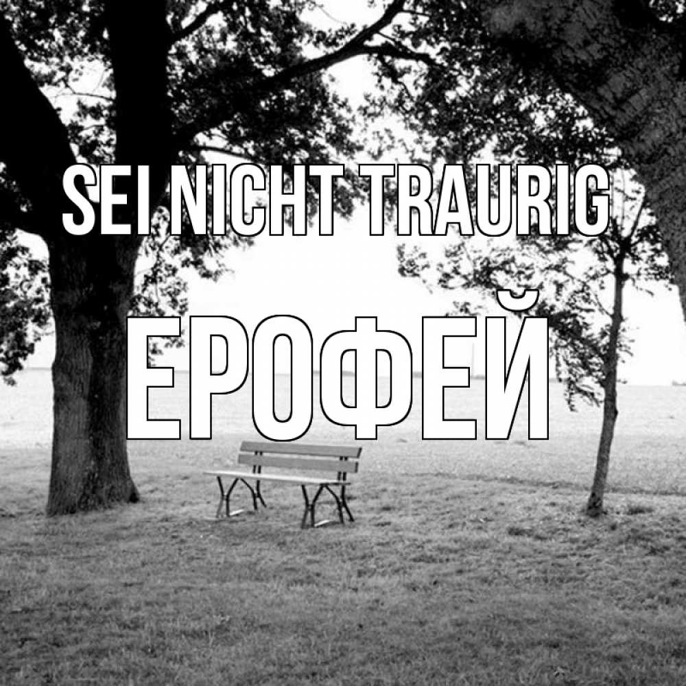 Открытка на каждый день с именем, Ерофей Sei nicht traurig мощное дерево Прикольная открытка с пожеланием онлайн скачать бесплатно 