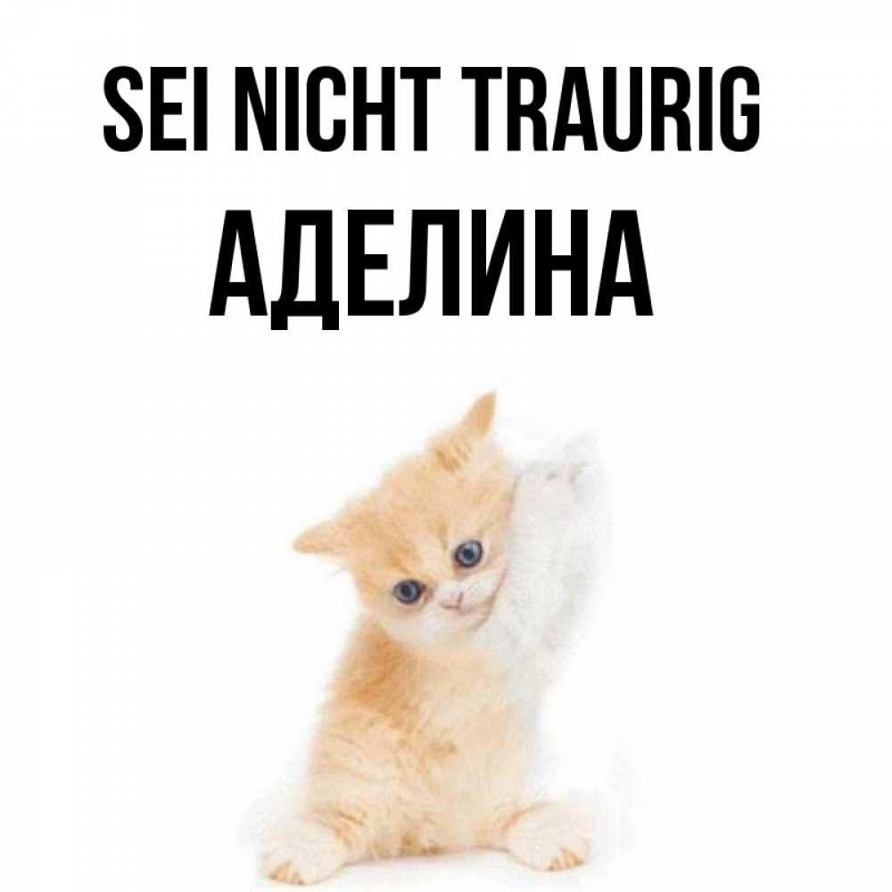 Открытка на каждый день с именем, Аделина Sei nicht traurig просящий кот Прикольная открытка с пожеланием онлайн скачать бесплатно 