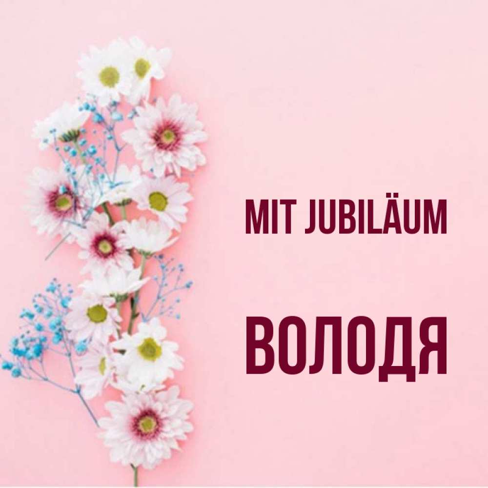 Открытка на каждый день с именем, Володя Mit Jubiläum Родная моя с днем рождения тебя картинка с цветами белыми и голубыми Прикольная открытка с пожеланием онлайн скачать бесплатно 