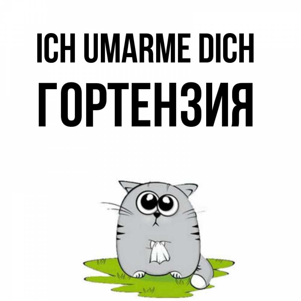 Открытка на каждый день с именем, Гортензия Ich umarme dich котик теребит платочек сидя на травке Прикольная открытка с пожеланием онлайн скачать бесплатно 