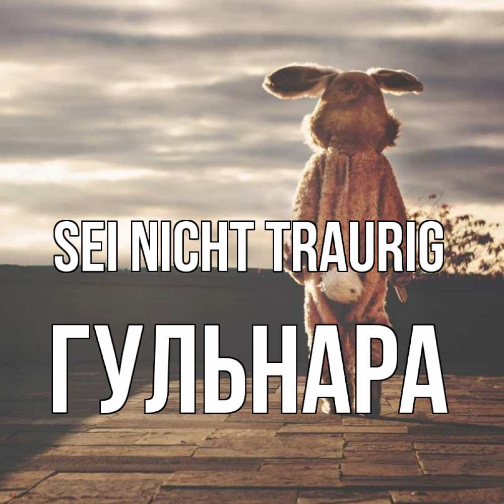 Открытка на каждый день с именем, Гульнара Sei nicht traurig со спины Прикольная открытка с пожеланием онлайн скачать бесплатно 
