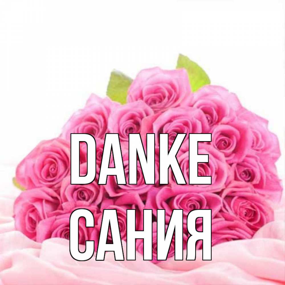 Открытка на каждый день с именем, Сания Danke розовые розы с подписью Прикольная открытка с пожеланием онлайн скачать бесплатно 