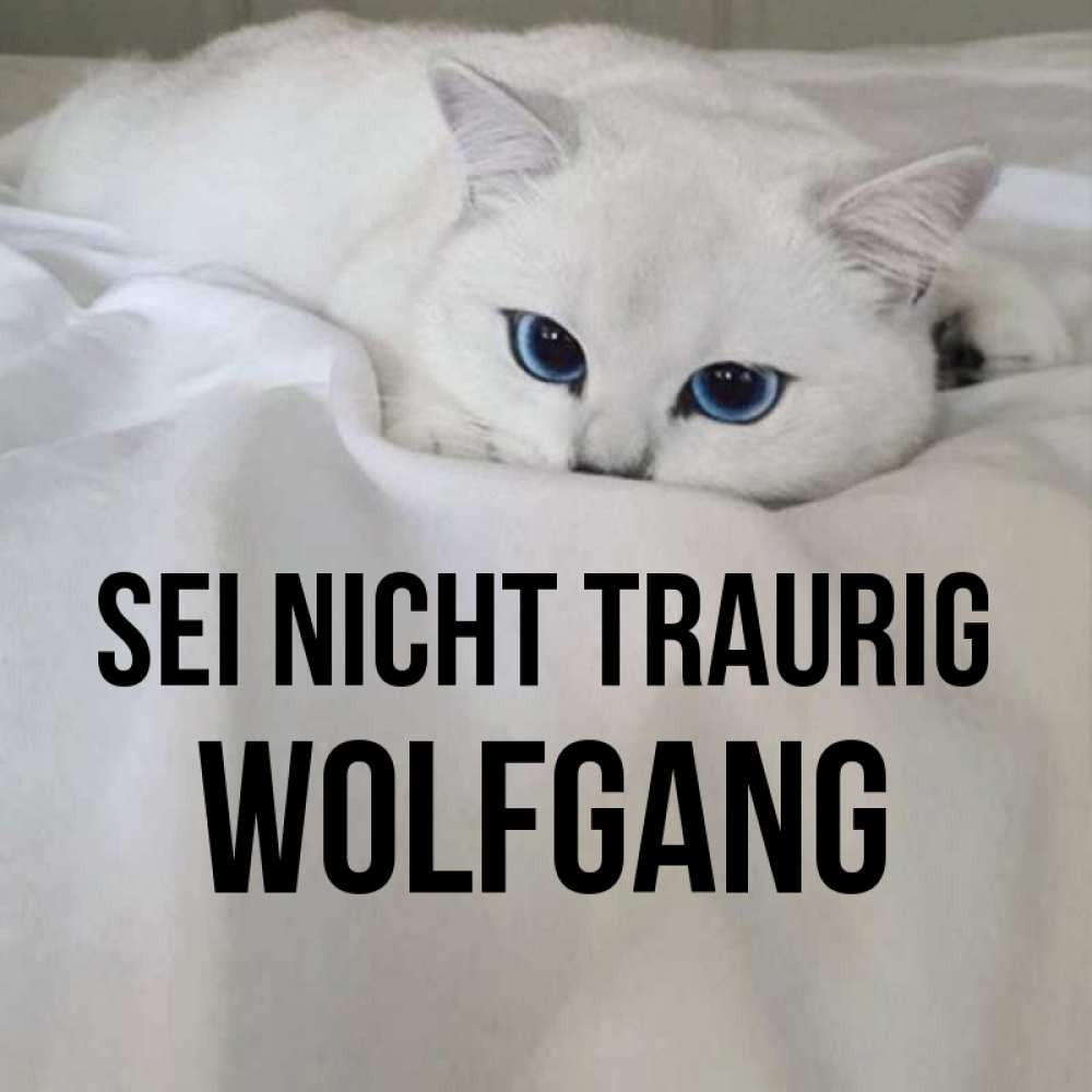 Открытка на каждый день с именем, Wolfgang Sei nicht traurig Голубоглазая кошка Прикольная открытка с пожеланием онлайн скачать бесплатно 