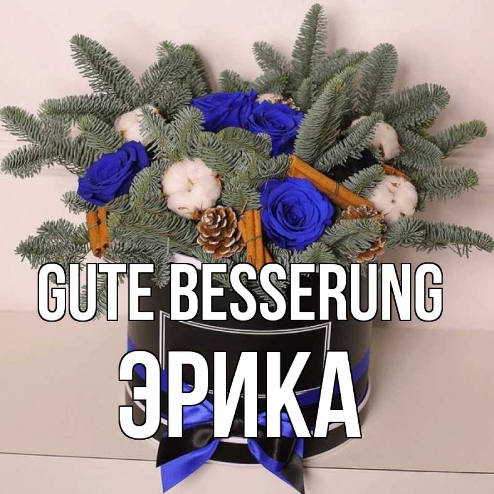Открытка на каждый день с именем, Эрика Gute Besserung короче кто то загрузил эти шишки Прикольная открытка с пожеланием онлайн скачать бесплатно 