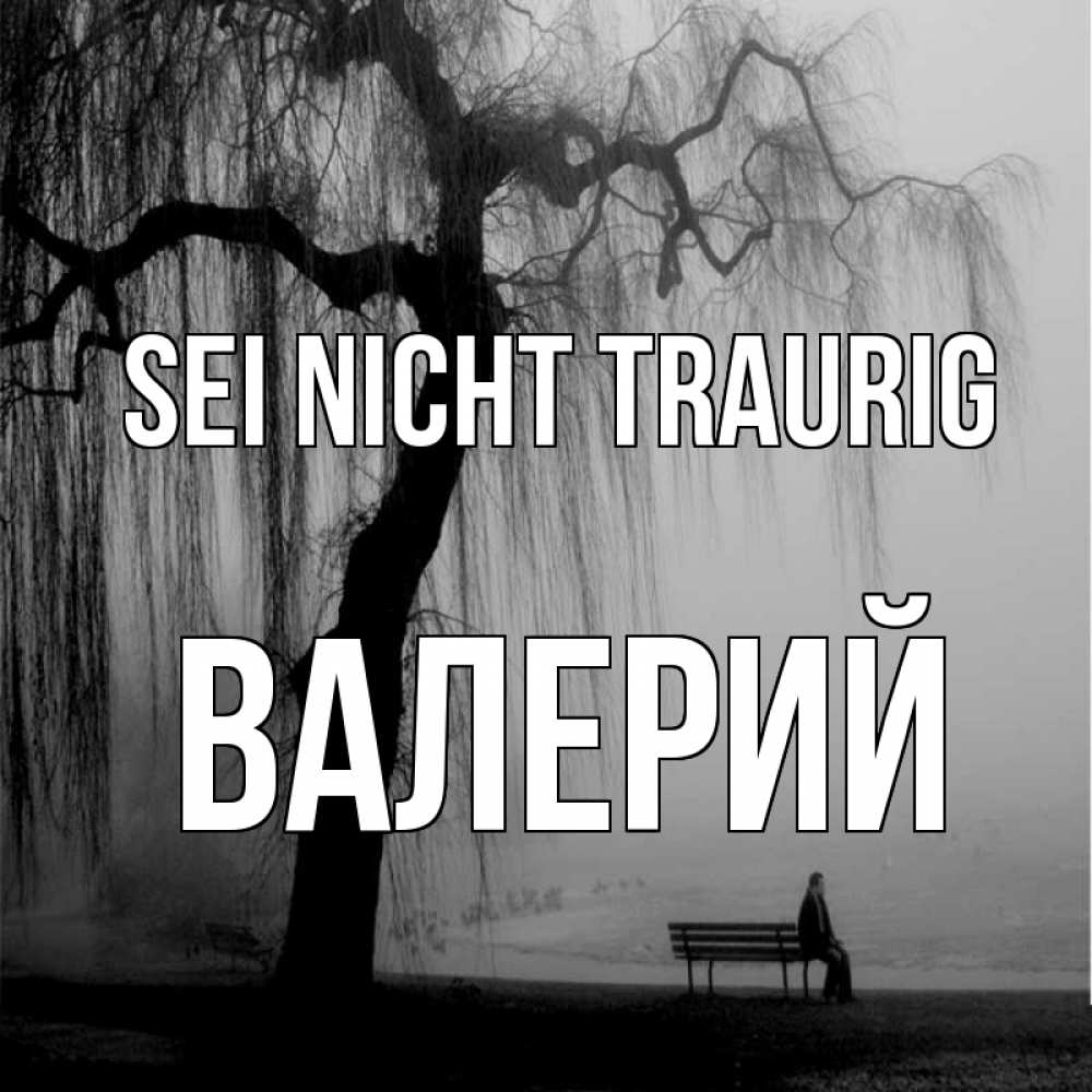 Открытка на каждый день с именем, Валерий Sei nicht traurig висящие ветки дерева и лавочка под деревом Прикольная открытка с пожеланием онлайн скачать бесплатно 