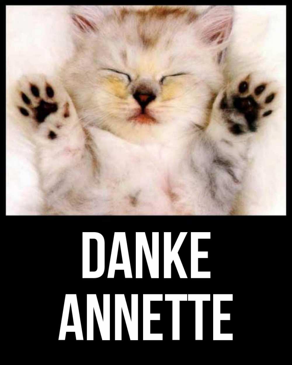Открытка на каждый день с именем, Annette Danke маленький котенок Прикольная открытка с пожеланием онлайн скачать бесплатно 