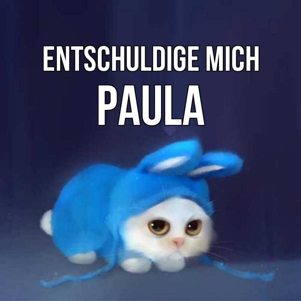 Открытка на каждый день с именем, Paula Entschuldige mich невинный котозай просит прощения Прикольная открытка с пожеланием онлайн скачать бесплатно 