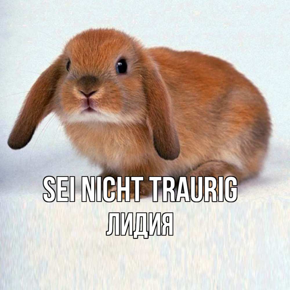 Открытка на каждый день с именем, Лидия Sei nicht traurig вислоухий рыжий кролик Прикольная открытка с пожеланием онлайн скачать бесплатно 