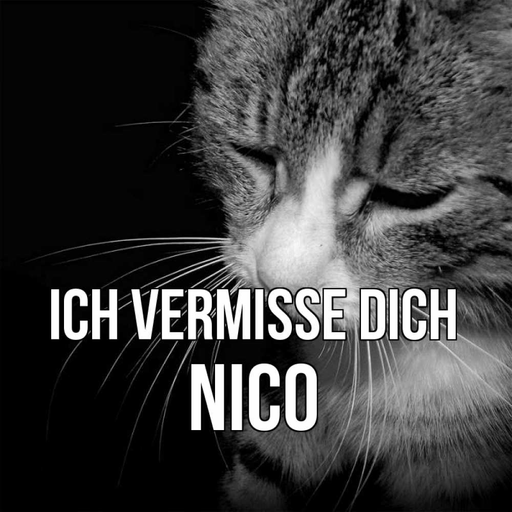 Открытка на каждый день с именем, Nico Ich vermisse dich мне скучно Прикольная открытка с пожеланием онлайн скачать бесплатно 