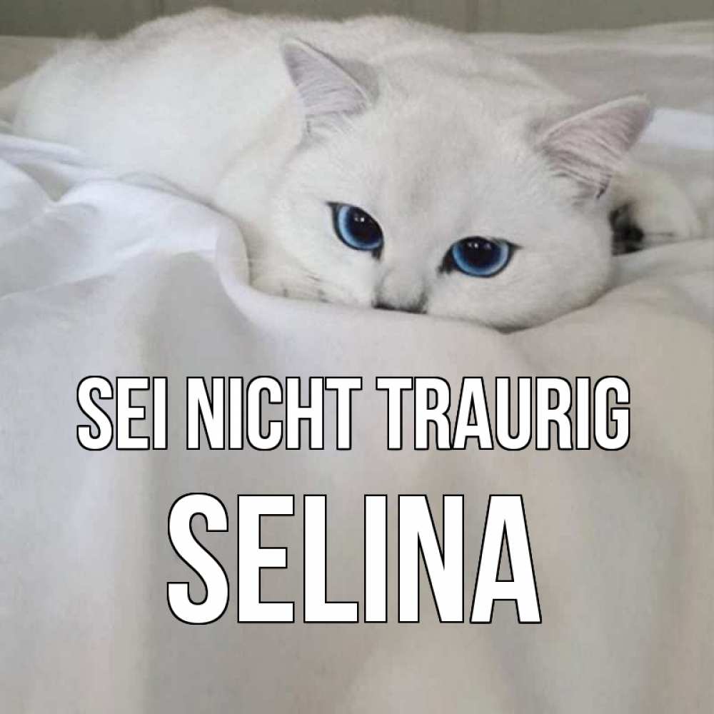 Открытка на каждый день с именем, Selina Sei nicht traurig белый кот с голубыми глазами на белоснежной кровати Прикольная открытка с пожеланием онлайн скачать бесплатно 