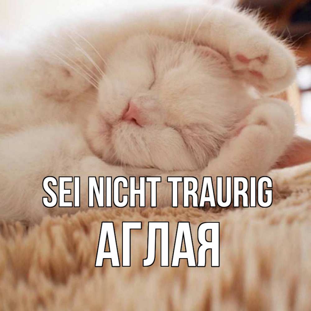 Открытка на каждый день с именем, Аглая Sei nicht traurig белый кот Прикольная открытка с пожеланием онлайн скачать бесплатно 