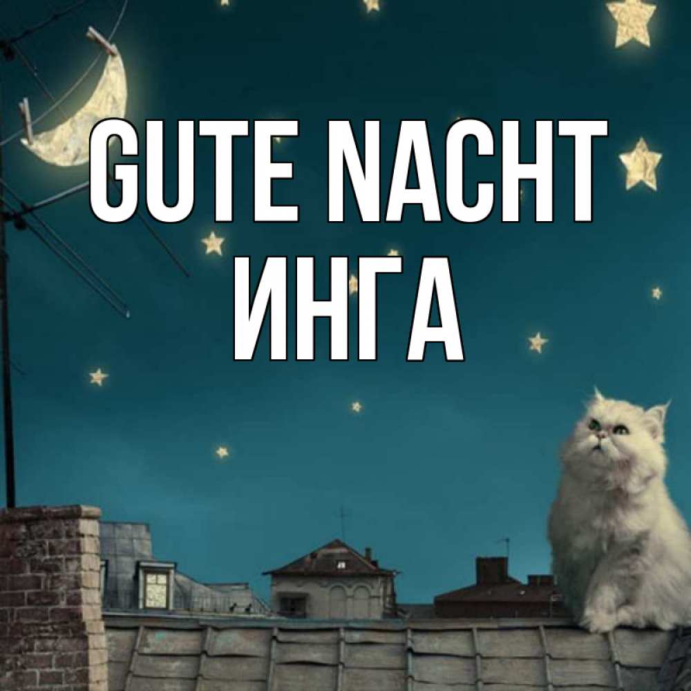 Открытка на каждый день с именем, Инга Gute Nacht белый кот сидит на крыше Прикольная открытка с пожеланием онлайн скачать бесплатно 
