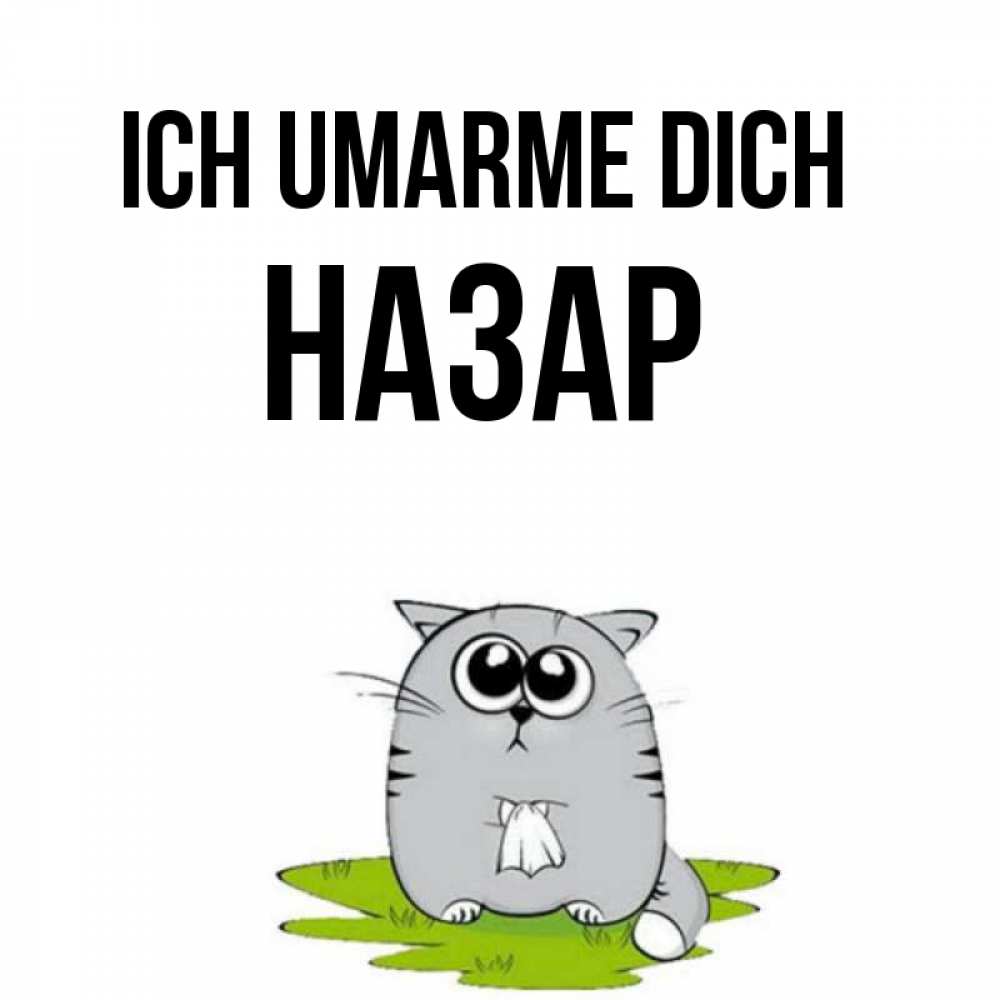 Открытка на каждый день с именем, Назар Ich umarme dich котик теребит платочек сидя на травке Прикольная открытка с пожеланием онлайн скачать бесплатно 