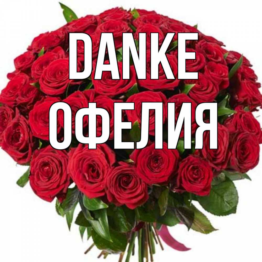 Открытка на каждый день с именем, Офелия Danke букет красных роз Прикольная открытка с пожеланием онлайн скачать бесплатно 