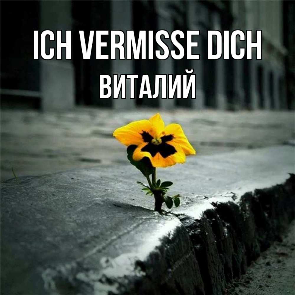 Открытка на каждый день с именем, Виталий Ich vermisse dich надеюсь будет лучше Прикольная открытка с пожеланием онлайн скачать бесплатно 