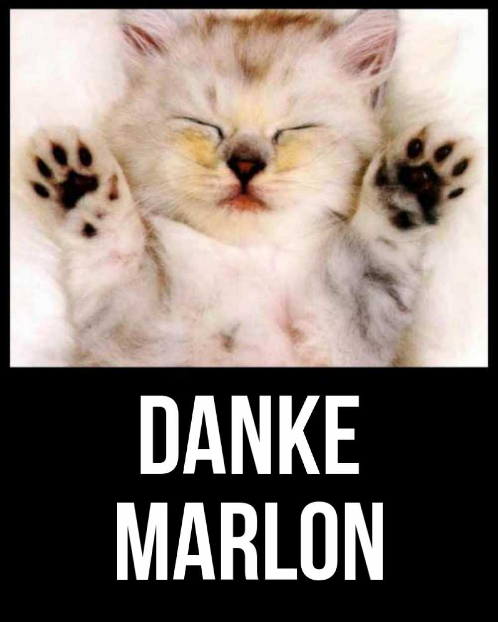 Открытка на каждый день с именем, Marlon Danke маленький котенок Прикольная открытка с пожеланием онлайн скачать бесплатно 
