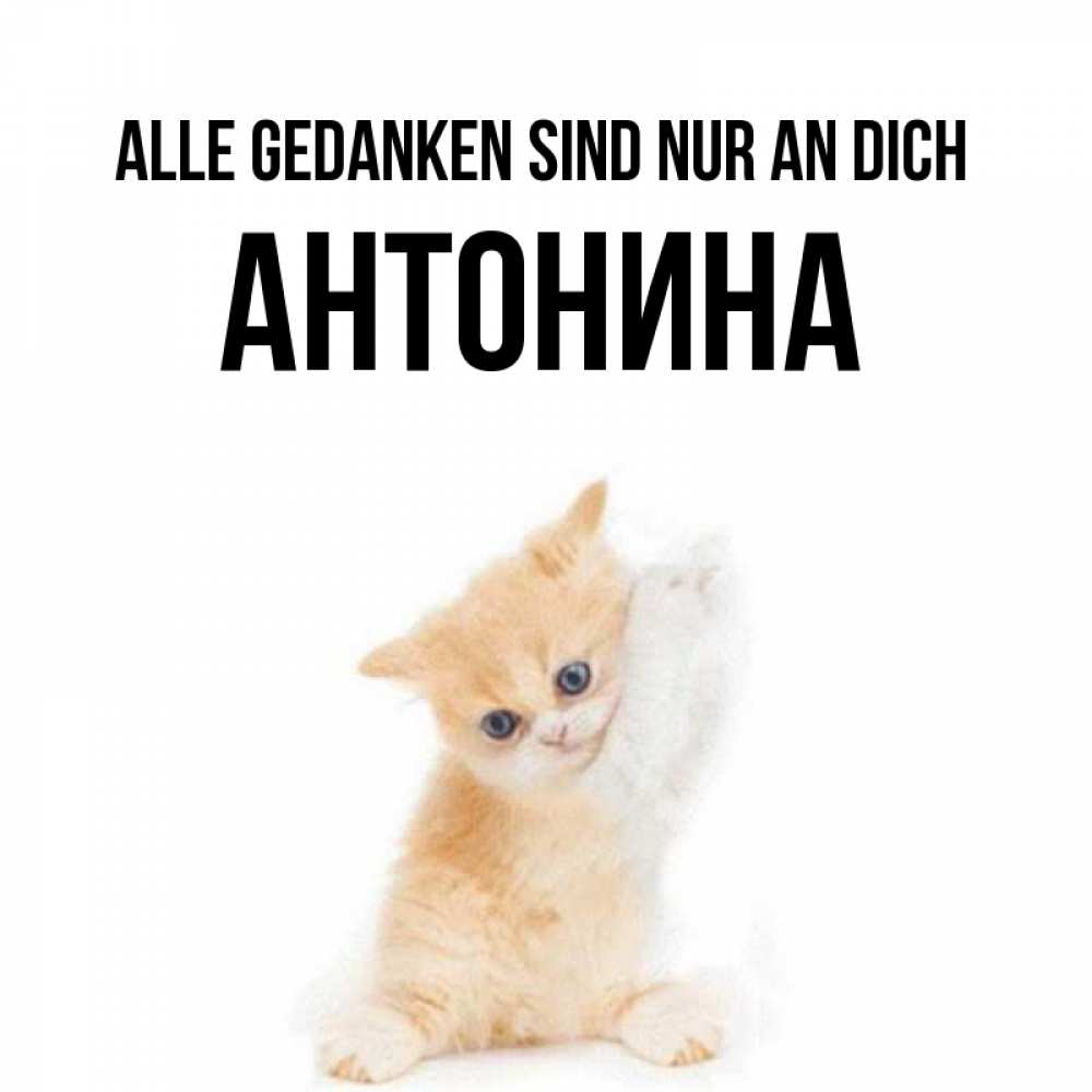 Открытка на каждый день с именем, Антонина Alle Gedanken sind nur an dich зверушки и милота Прикольная открытка с пожеланием онлайн скачать бесплатно 