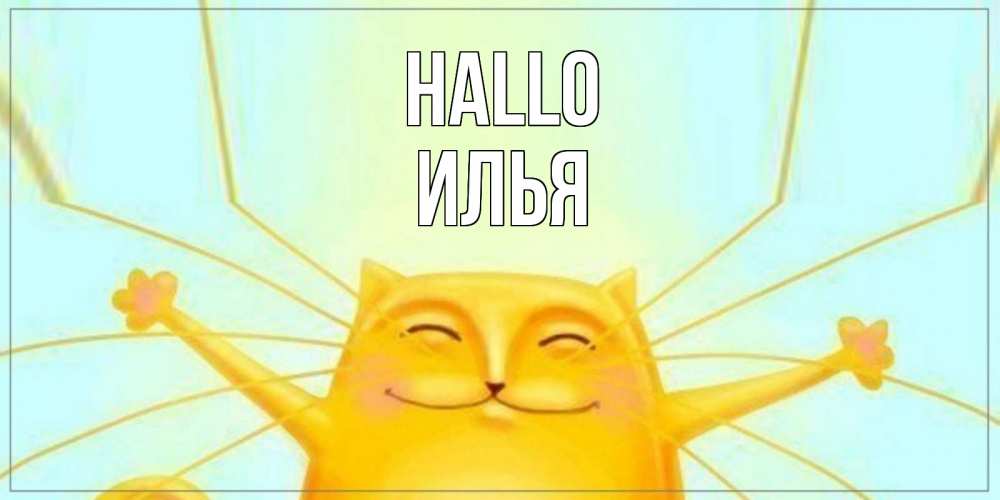 Открытка на каждый день с именем, Илья Hallo кот Прикольная открытка с пожеланием онлайн скачать бесплатно 