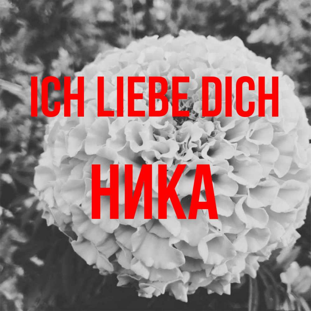 Открытка на каждый день с именем, Ника Ich liebe dich подпись Прикольная открытка с пожеланием онлайн скачать бесплатно 