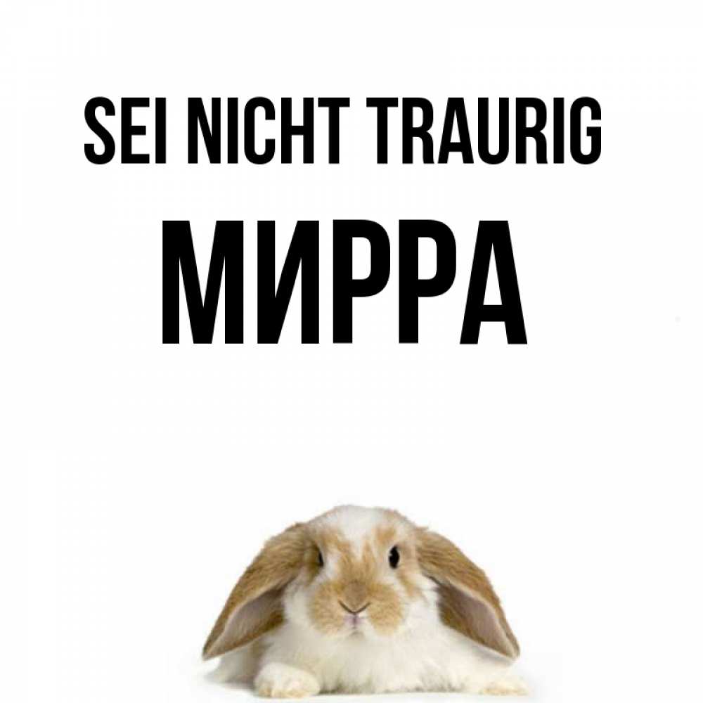 Открытка на каждый день с именем, Мирра Sei nicht traurig коричнево белый заяц с большими ушками Прикольная открытка с пожеланием онлайн скачать бесплатно 