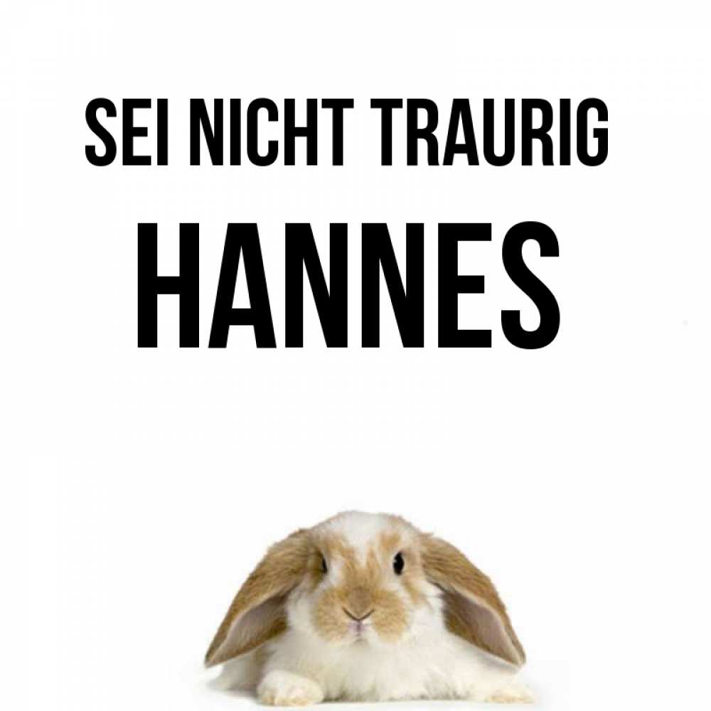 Открытка на каждый день с именем, Hannes Sei nicht traurig коричнево белый заяц с большими ушками Прикольная открытка с пожеланием онлайн скачать бесплатно 