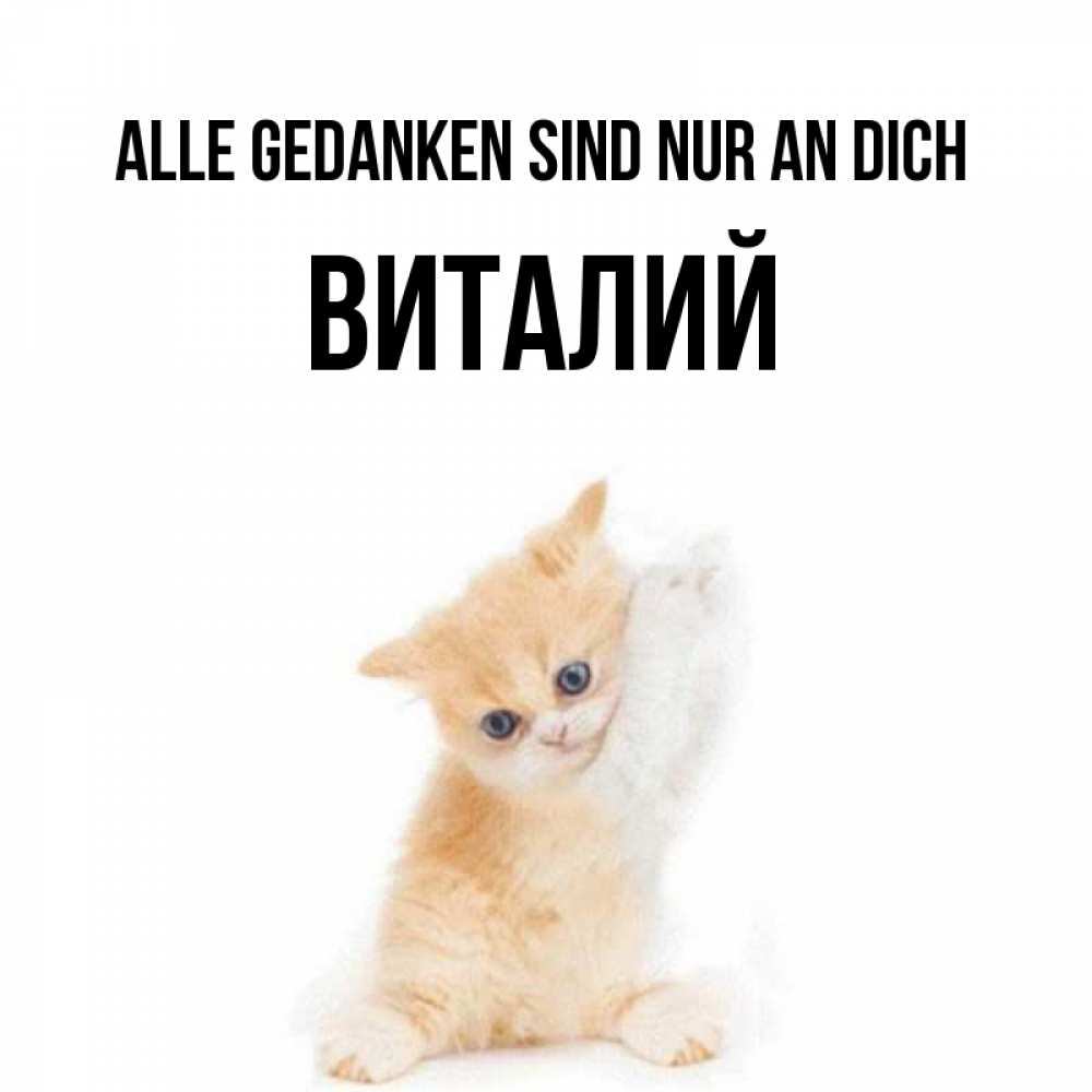 Открытка на каждый день с именем, Виталий Alle Gedanken sind nur an dich зверушки и милота Прикольная открытка с пожеланием онлайн скачать бесплатно 