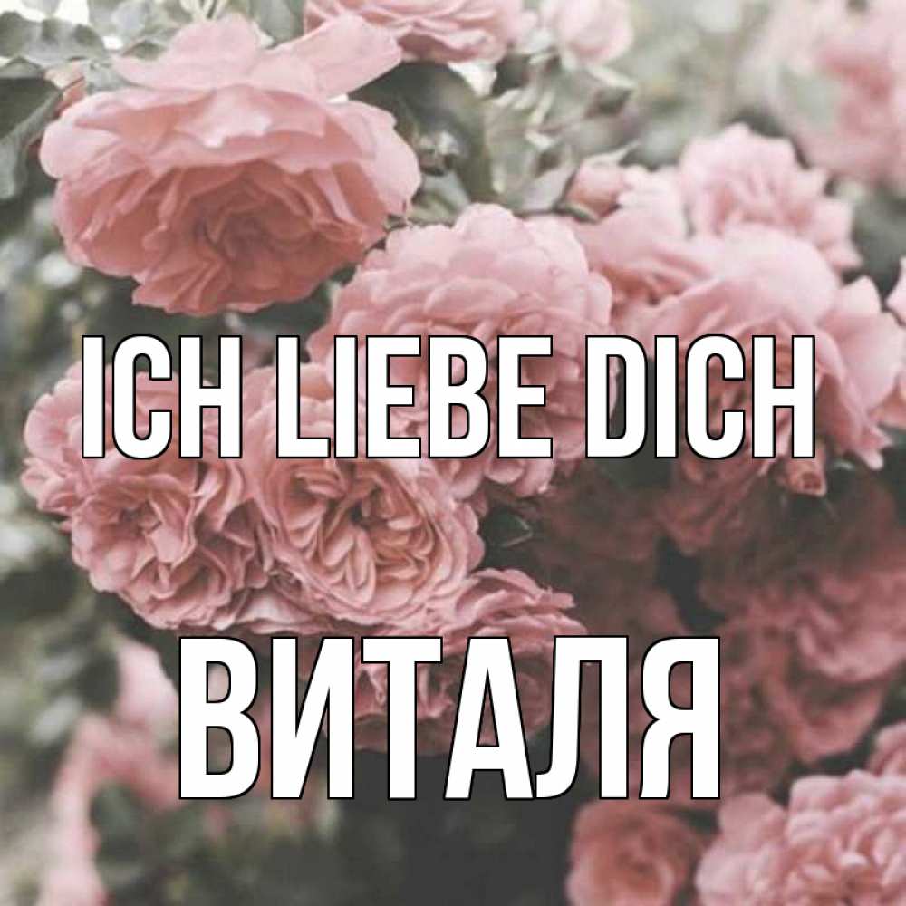 Открытка на каждый день с именем, Виталя Ich liebe dich розы 3 Прикольная открытка с пожеланием онлайн скачать бесплатно 