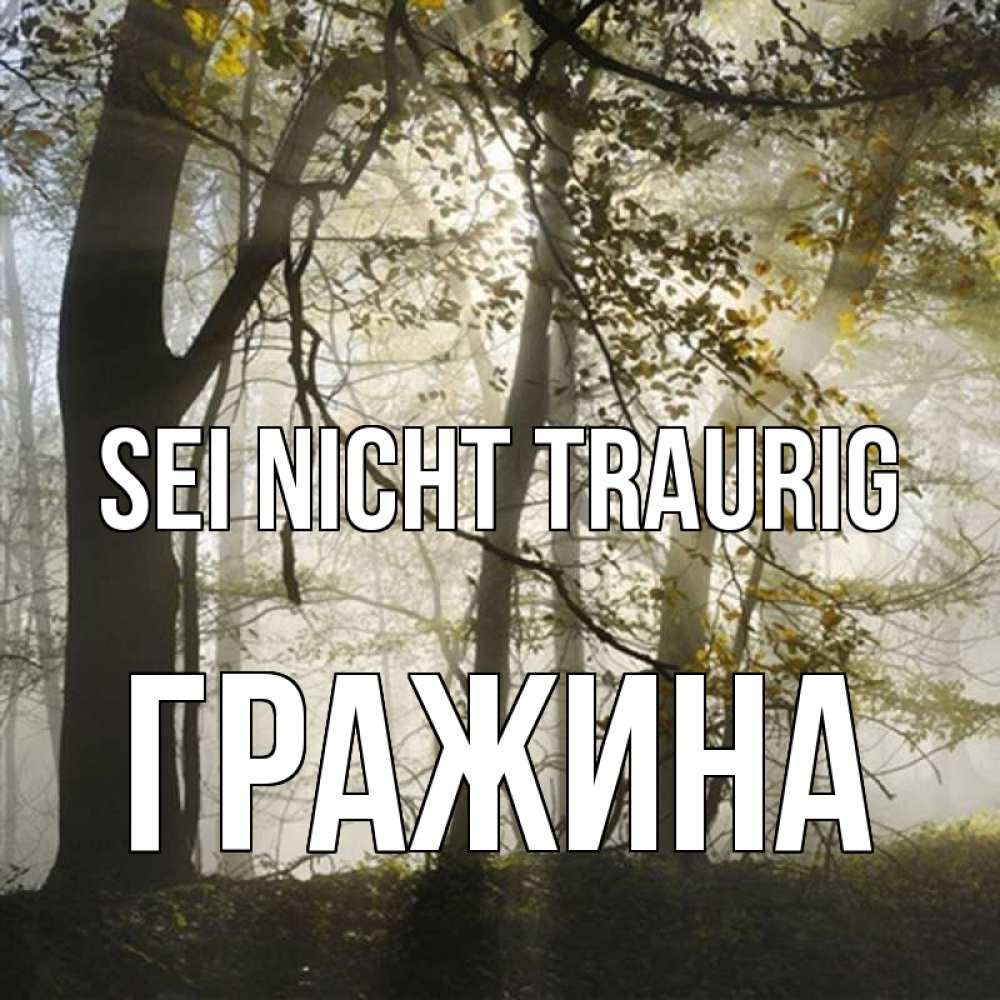 Открытка на каждый день с именем, Гражина Sei nicht traurig лес и свет Прикольная открытка с пожеланием онлайн скачать бесплатно 