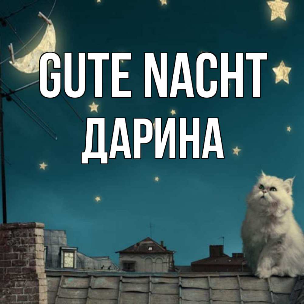 Открытка на каждый день с именем, Дарина Gute Nacht белый кот сидит на крыше Прикольная открытка с пожеланием онлайн скачать бесплатно 