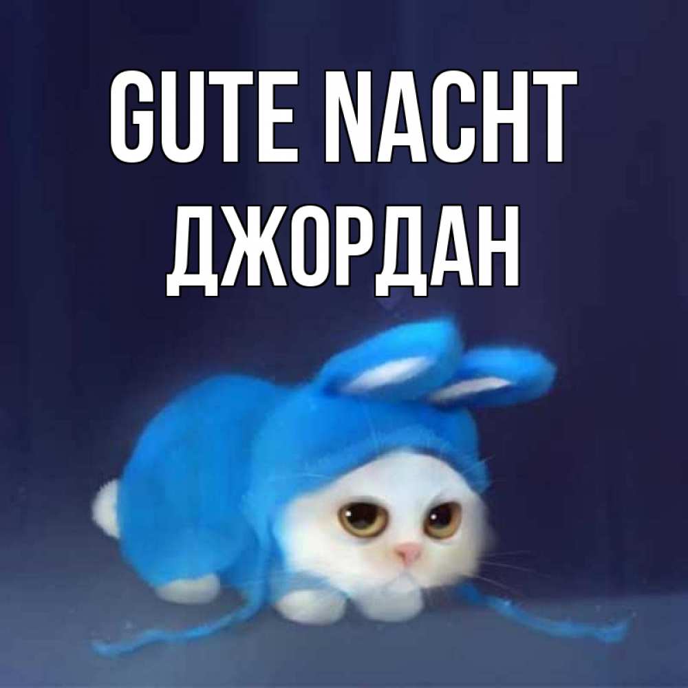 Открытка на каждый день с именем, Джордан Gute Nacht кот в голубом костюме кролика с ушками Прикольная открытка с пожеланием онлайн скачать бесплатно 