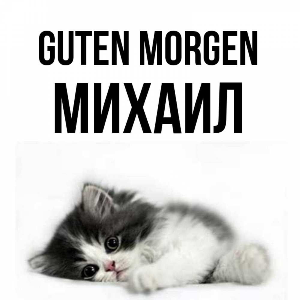 Открытка на каждый день с именем, Михаил Guten Morgen кот лапки Прикольная открытка с пожеланием онлайн скачать бесплатно 