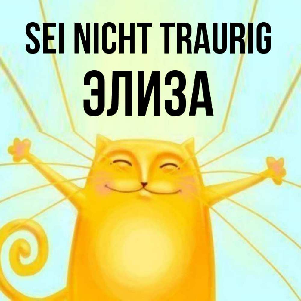 Открытка на каждый день с именем, Элиза Sei nicht traurig обнимашки усатые Прикольная открытка с пожеланием онлайн скачать бесплатно 
