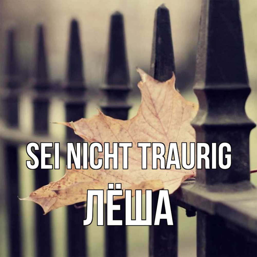 Открытка на каждый день с именем, Лёша Sei nicht traurig лист клена Прикольная открытка с пожеланием онлайн скачать бесплатно 