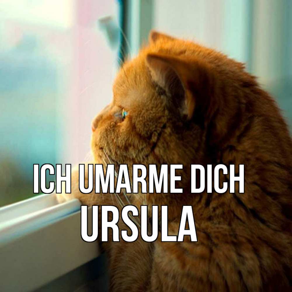 Открытка на каждый день с именем, Ursula Ich umarme dich большой огромный рыжий котяра Прикольная открытка с пожеланием онлайн скачать бесплатно 