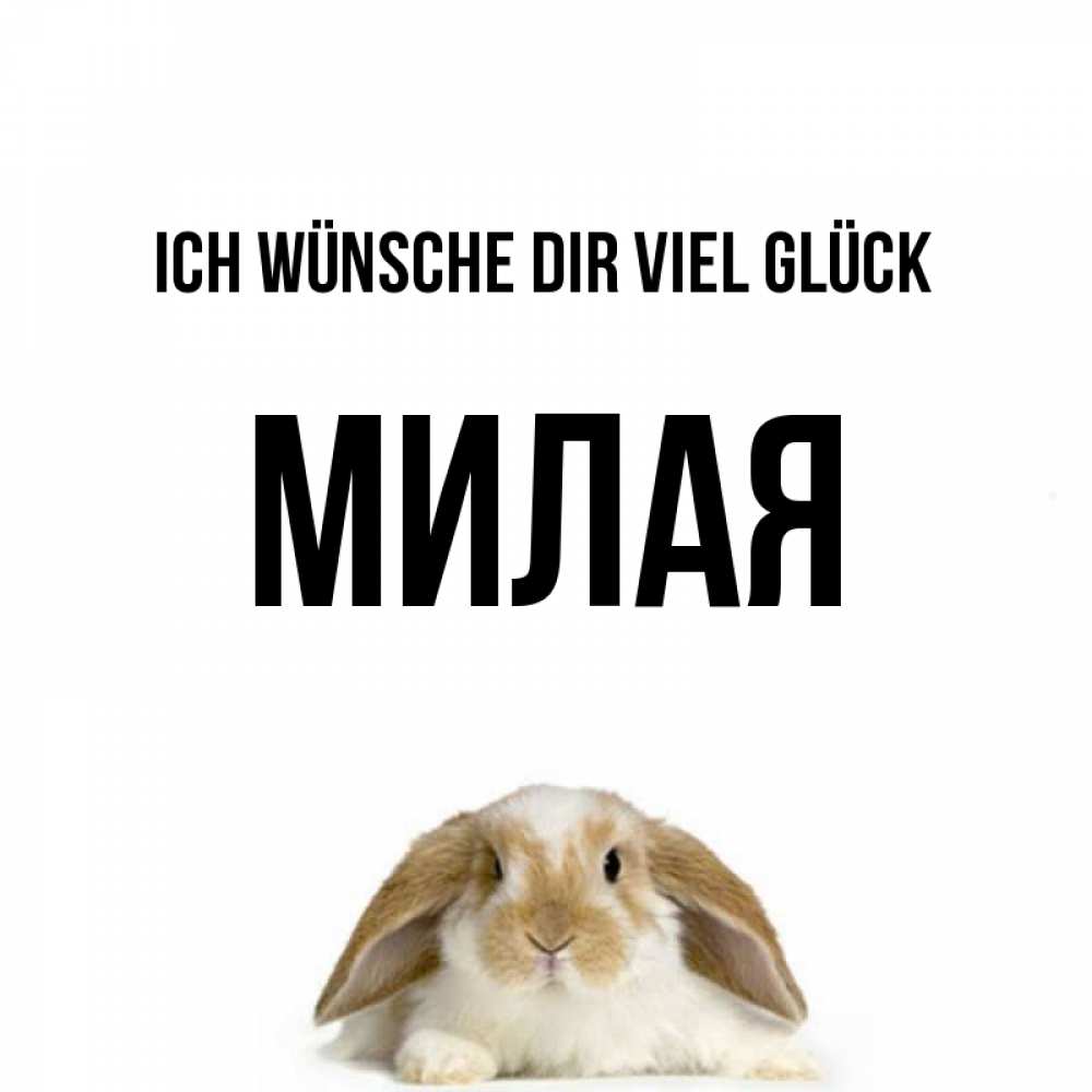 Открытка на каждый день с именем, Милая Ich wünsche dir viel Glück открытки с произвольным текстом который можно вставить в открытку и создать ее самостоятельно бесплатно онлайн Прикольная открытка с пожеланием онлайн скачать бесплатно 