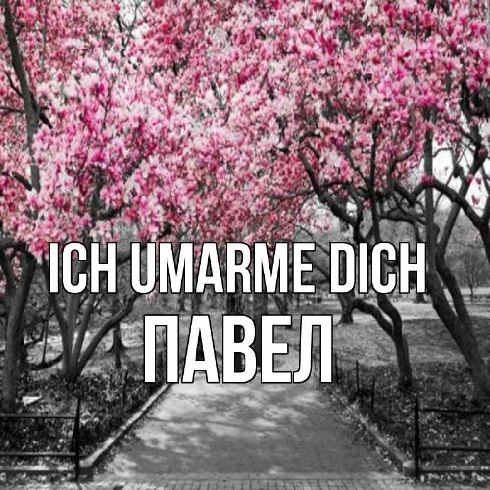 Открытка на каждый день с именем, Павел Ich umarme dich обработанное фото Прикольная открытка с пожеланием онлайн скачать бесплатно 