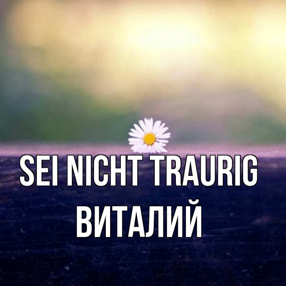 Открытка на каждый день с именем, Виталий Sei nicht traurig красота Прикольная открытка с пожеланием онлайн скачать бесплатно 