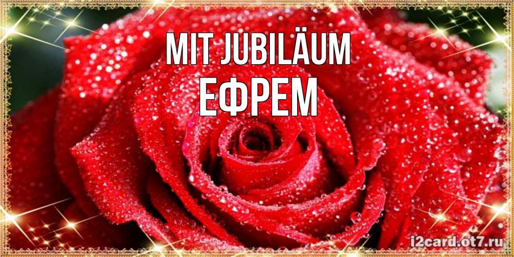 Открытка на каждый день с именем, Ефрем Mit Jubiläum роса и роза. открытка с красивой розой Прикольная открытка с пожеланием онлайн скачать бесплатно 