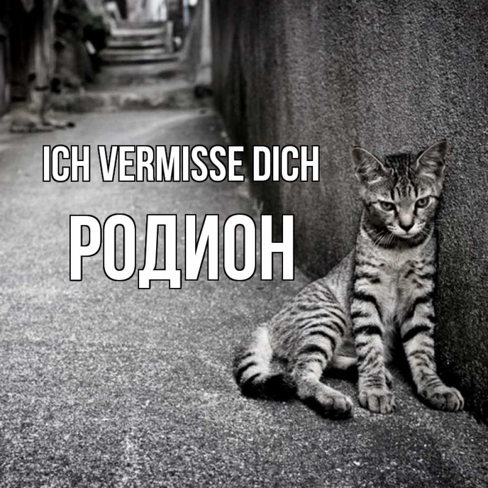 Открытка на каждый день с именем, Родион Ich vermisse dich одиноко котику Прикольная открытка с пожеланием онлайн скачать бесплатно 