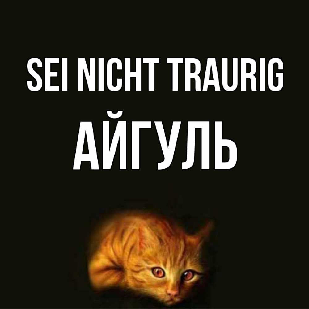 Открытка на каждый день с именем, Айгуль Sei nicht traurig лежащий кот в темноте Прикольная открытка с пожеланием онлайн скачать бесплатно 