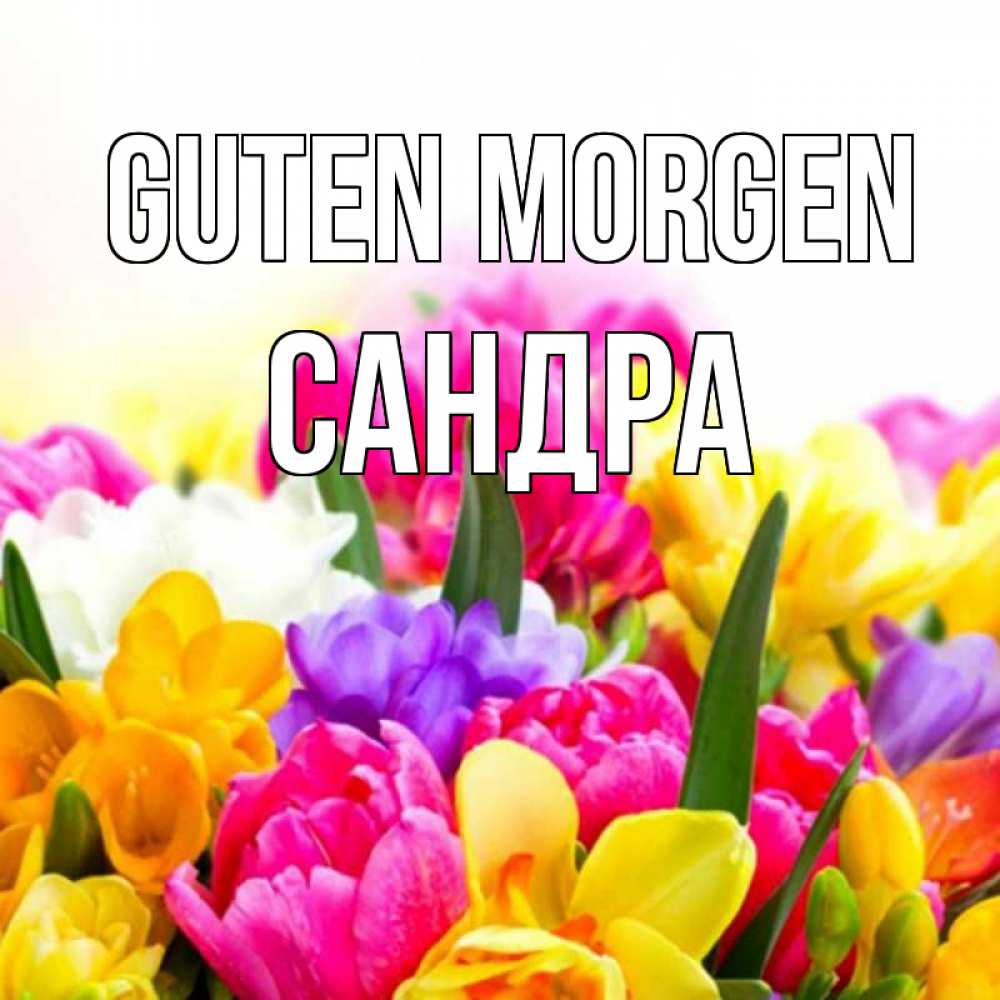 Открытка на каждый день с именем, Сандра Guten Morgen создать открытку со свое подписью Прикольная открытка с пожеланием онлайн скачать бесплатно 
