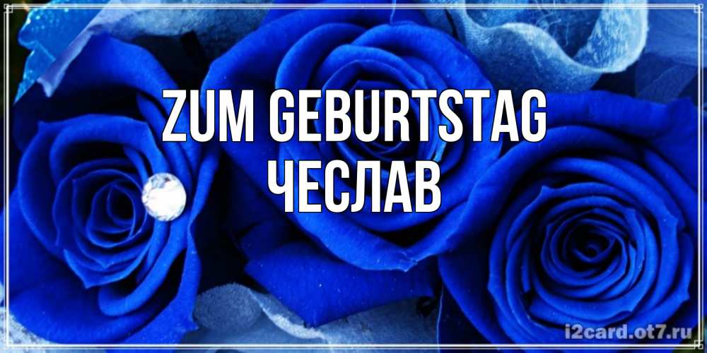 Открытка на каждый день с именем, Чеслав Zum Geburtstag синие розы в росе Прикольная открытка с пожеланием онлайн скачать бесплатно 
