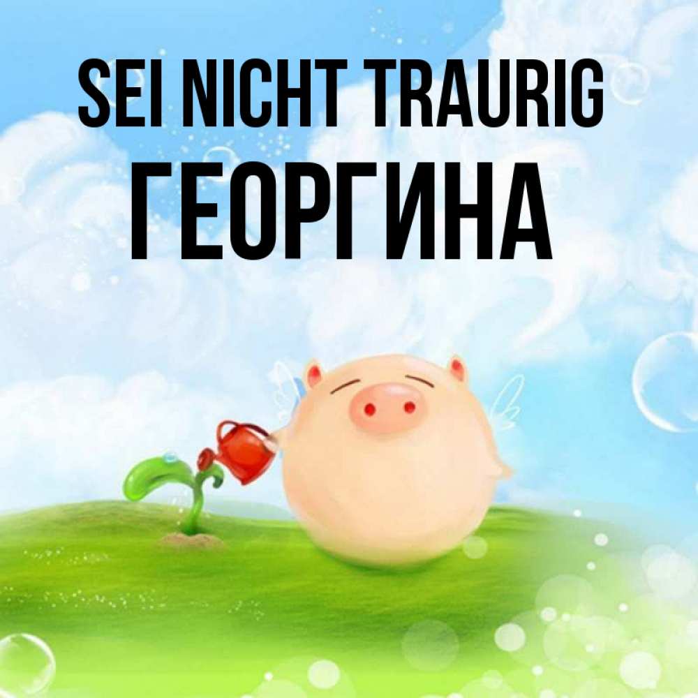 Открытка на каждый день с именем, Георгина Sei nicht traurig поливает цветок порося Прикольная открытка с пожеланием онлайн скачать бесплатно 