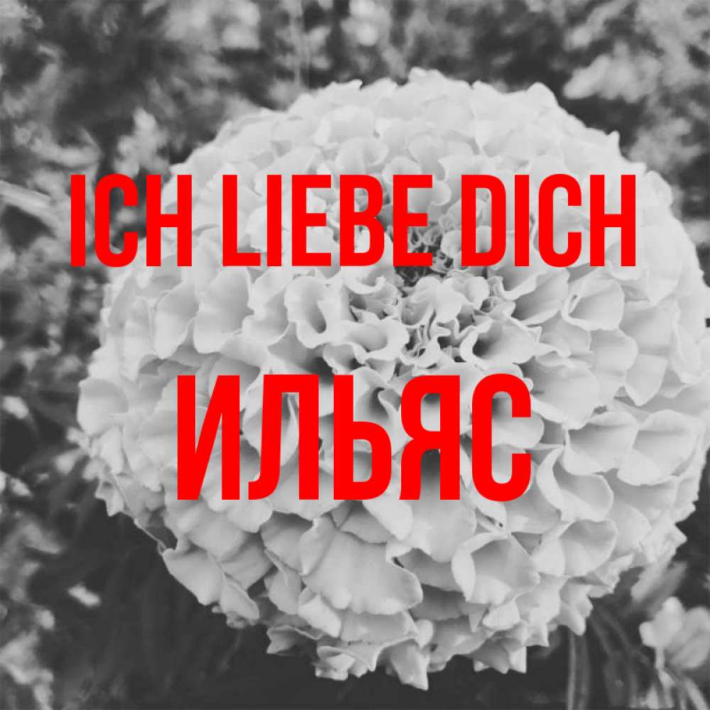 Открытка на каждый день с именем, Ильяс Ich liebe dich подпись Прикольная открытка с пожеланием онлайн скачать бесплатно 