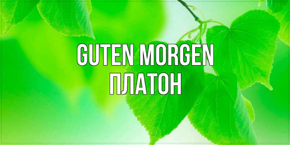 Открытка на каждый день с именем, Платон Guten Morgen доброе утро с березовыми листьями Прикольная открытка с пожеланием онлайн скачать бесплатно 